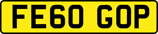 FE60GOP