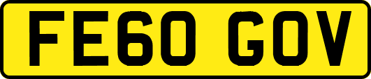 FE60GOV