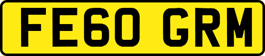 FE60GRM