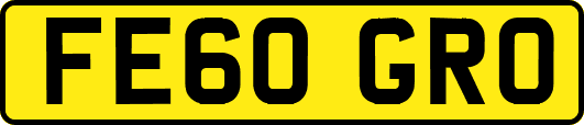 FE60GRO