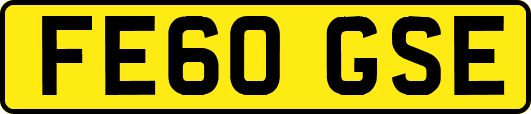 FE60GSE