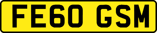 FE60GSM