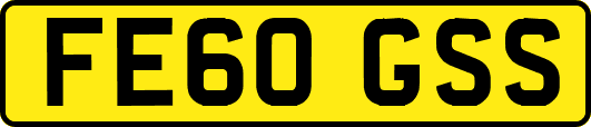 FE60GSS