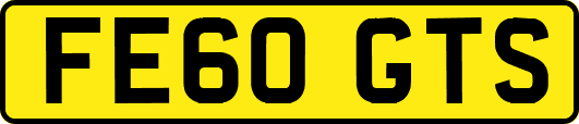 FE60GTS