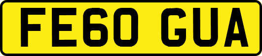 FE60GUA