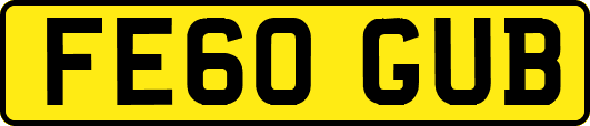 FE60GUB
