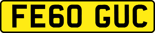FE60GUC
