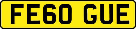FE60GUE