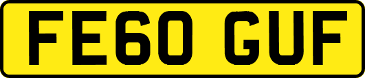 FE60GUF