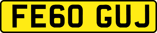 FE60GUJ