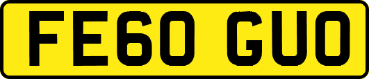 FE60GUO
