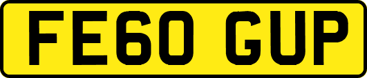 FE60GUP
