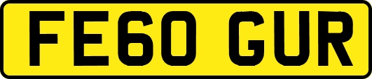 FE60GUR