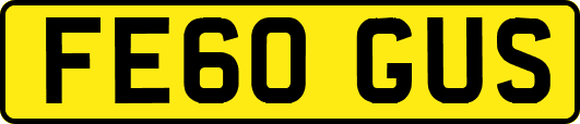 FE60GUS