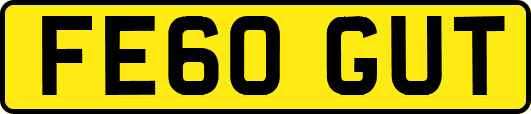 FE60GUT