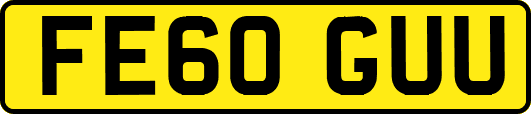 FE60GUU