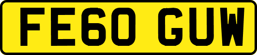 FE60GUW