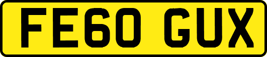FE60GUX