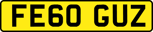 FE60GUZ