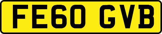 FE60GVB
