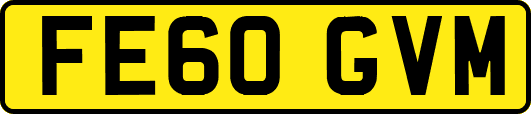 FE60GVM