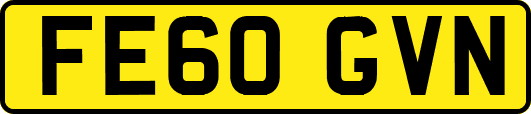 FE60GVN