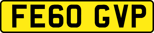 FE60GVP