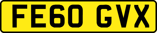 FE60GVX