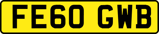 FE60GWB