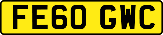 FE60GWC