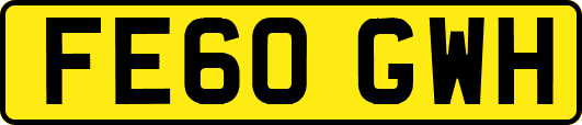 FE60GWH
