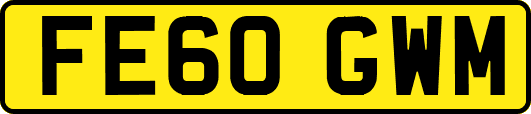 FE60GWM