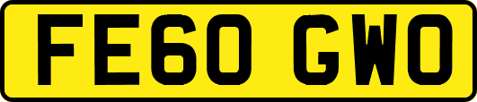 FE60GWO