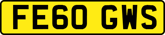 FE60GWS