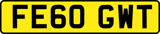 FE60GWT