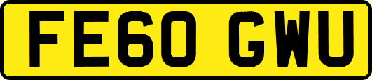 FE60GWU