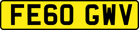 FE60GWV