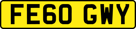 FE60GWY