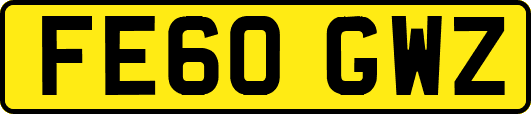 FE60GWZ