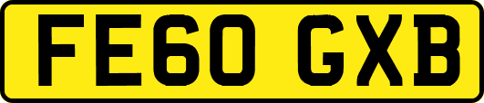 FE60GXB