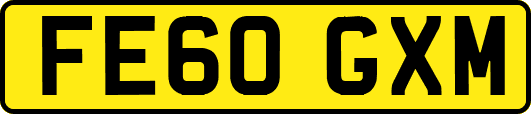 FE60GXM