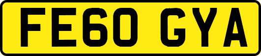 FE60GYA