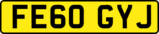 FE60GYJ