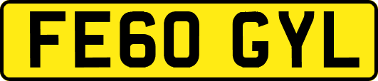 FE60GYL