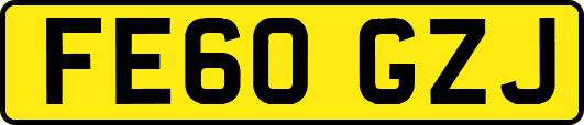 FE60GZJ