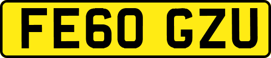 FE60GZU