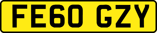 FE60GZY