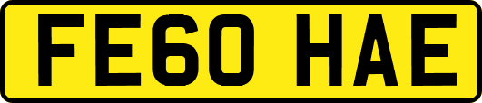 FE60HAE