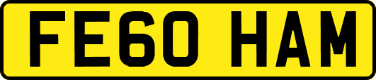 FE60HAM