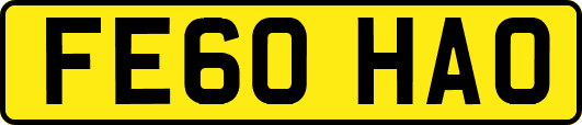 FE60HAO